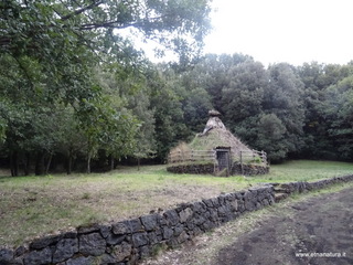 Bosco di Centorbi